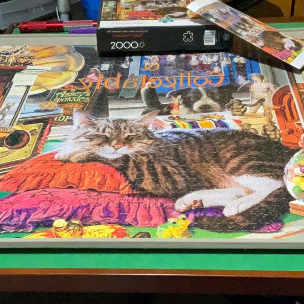 Buffalo Games 2000 Piece Curiosity Shop Puzzle